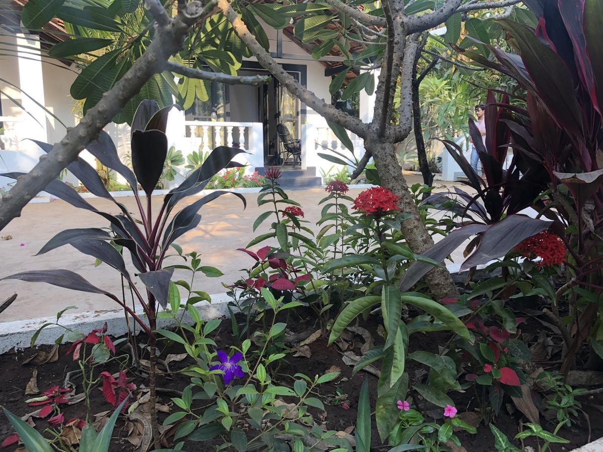 God'S Gift Morjim Hotel ภายนอก รูปภาพ